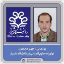رونمایی از 4 محصول نوآورانه علوم انسانی در دانشگاه شیراز